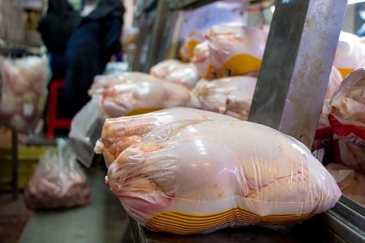 دبیر زنجیره‌های تولید مرغ کشور: قیمت مرغ از ۶۳ هزار تومان فراتر نخواهد رفت