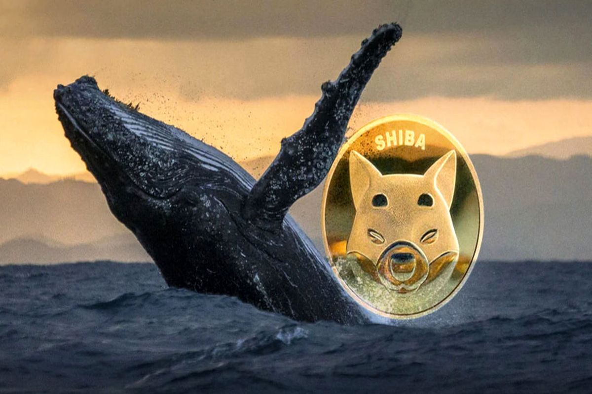 ۲.۵ تریلیون «شیبااینو» توسط نهنگ های برتر یک شبه گرفته شد!