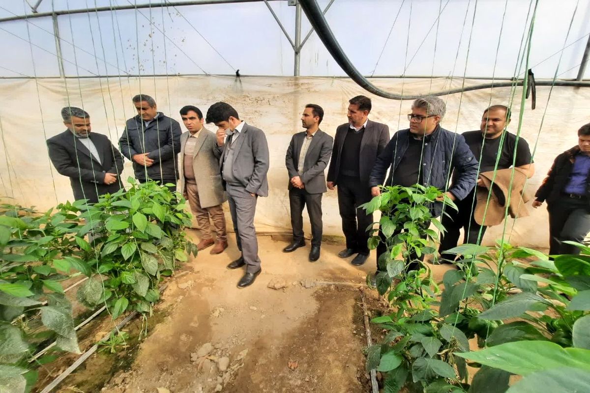 مرکز سورتینگ محصولات کشاورزی در دهه فجر افتتاح می‌شود