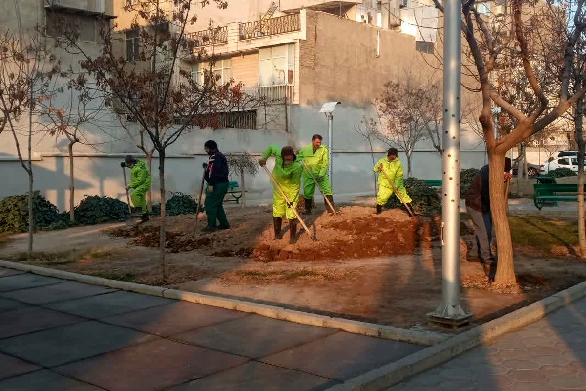 کاشت هزار و ۸۰۰ اصله درخت در منطقه ۱۳ تهران