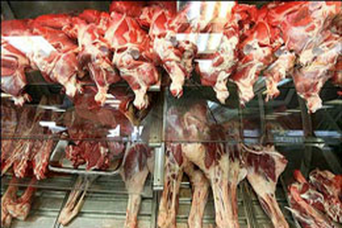 برآورد تولید ۹۰۰ هزار تن گوشت قرمز در کشور