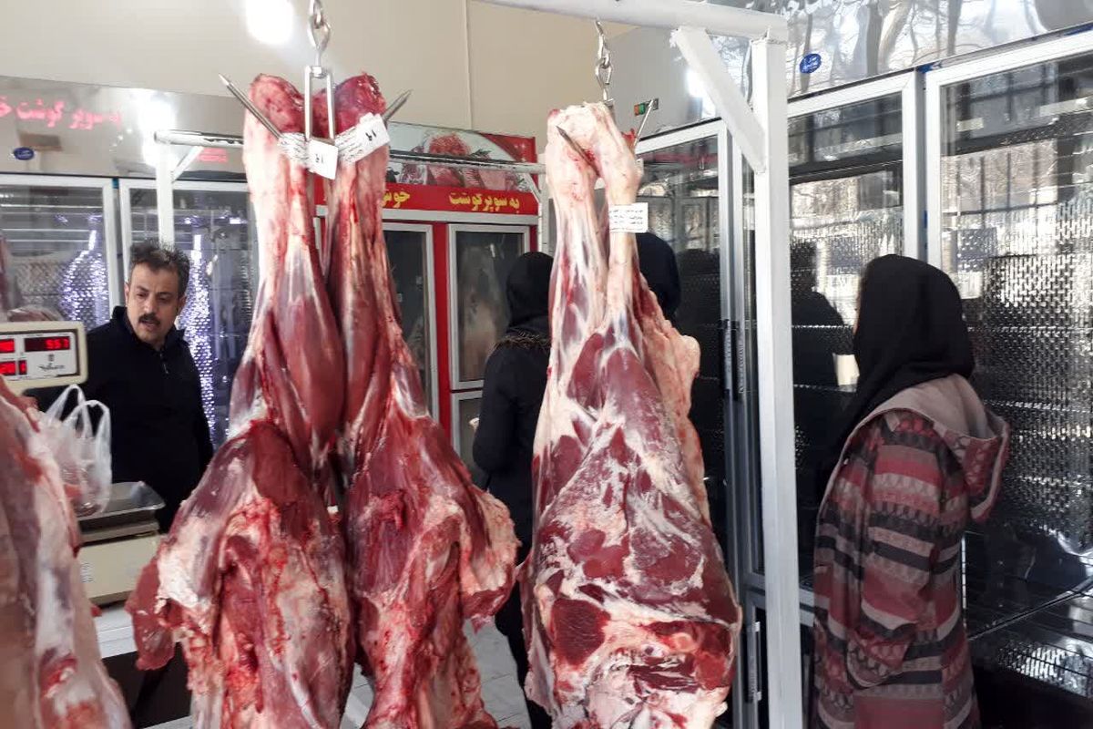 توزیع گوشت گرم گوسفندی و گوساله در محل ساختمان مدیریت جهاد کشاورزی شهرستان سنندج