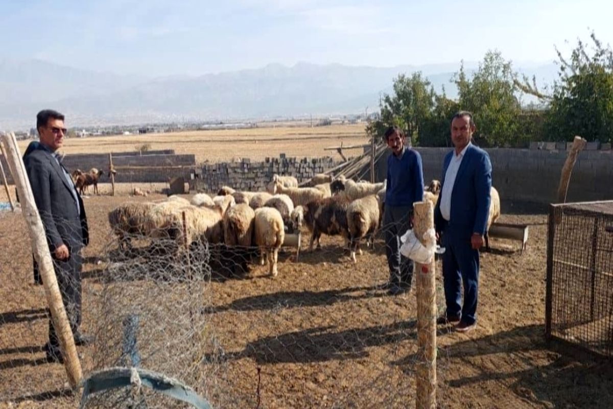 بالغ بر ۳۹ میلیارد و ۵۰۰ میلیون تومان برای طرح های اشتغال کمیته امداد منطقه یک یاسوج پرداخت شد