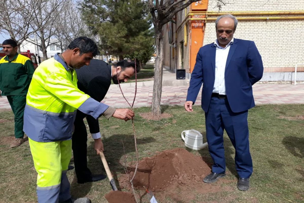 ۳ هزار درخت مثمر و غیر مثمر در محمود آباد نمونه غرس شد