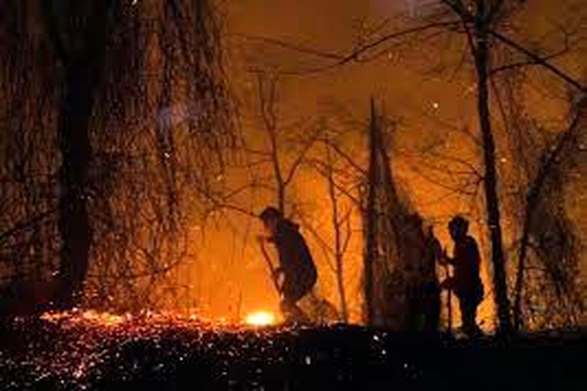 اطفاء آتش سوزی بیش از ۵۰ هکتار از مناطق جنگلی گیلان