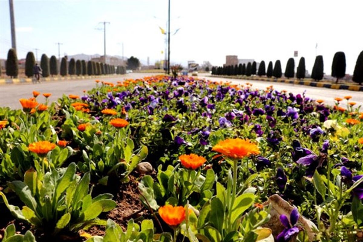 شهرداری اسفراین با کاشت ۴۰۰ هزار بوته گل فصلی و ۲ هزار اصله نهال ( مثمر و غیر مثمر) به استقبال بهار می رود