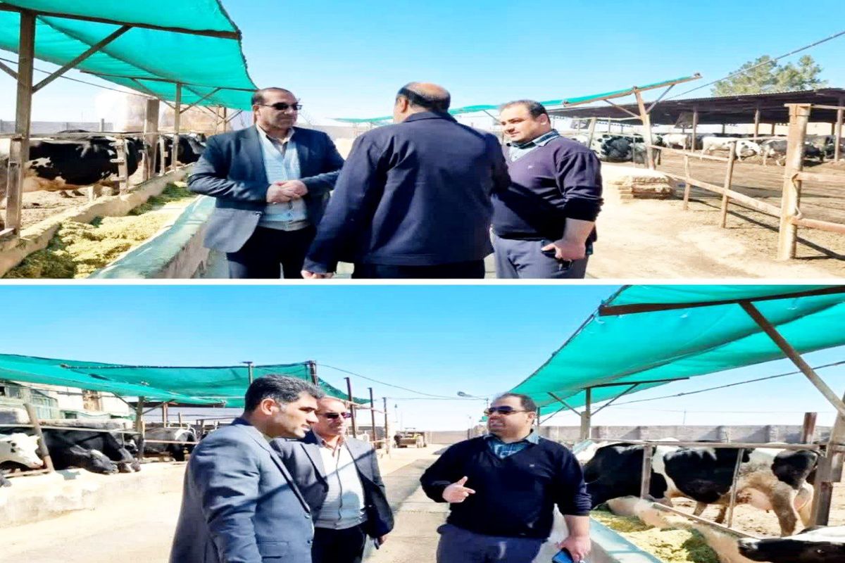 ارائه تسهیلات و راهبردهای توسعه تولید موجب توسعه صنعت دامداری می‌شود