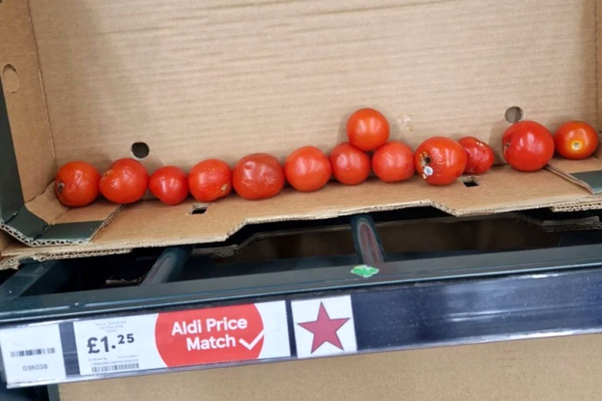 بحران گوجه فرنگی در انگلیس!