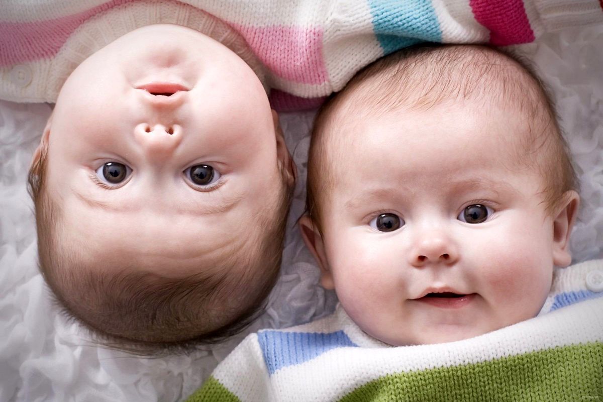 تولد بیش از ۱۷ هزار دوقلو در کشور/ بیشترین آمار تولد نوزاد سه قلو در تهران