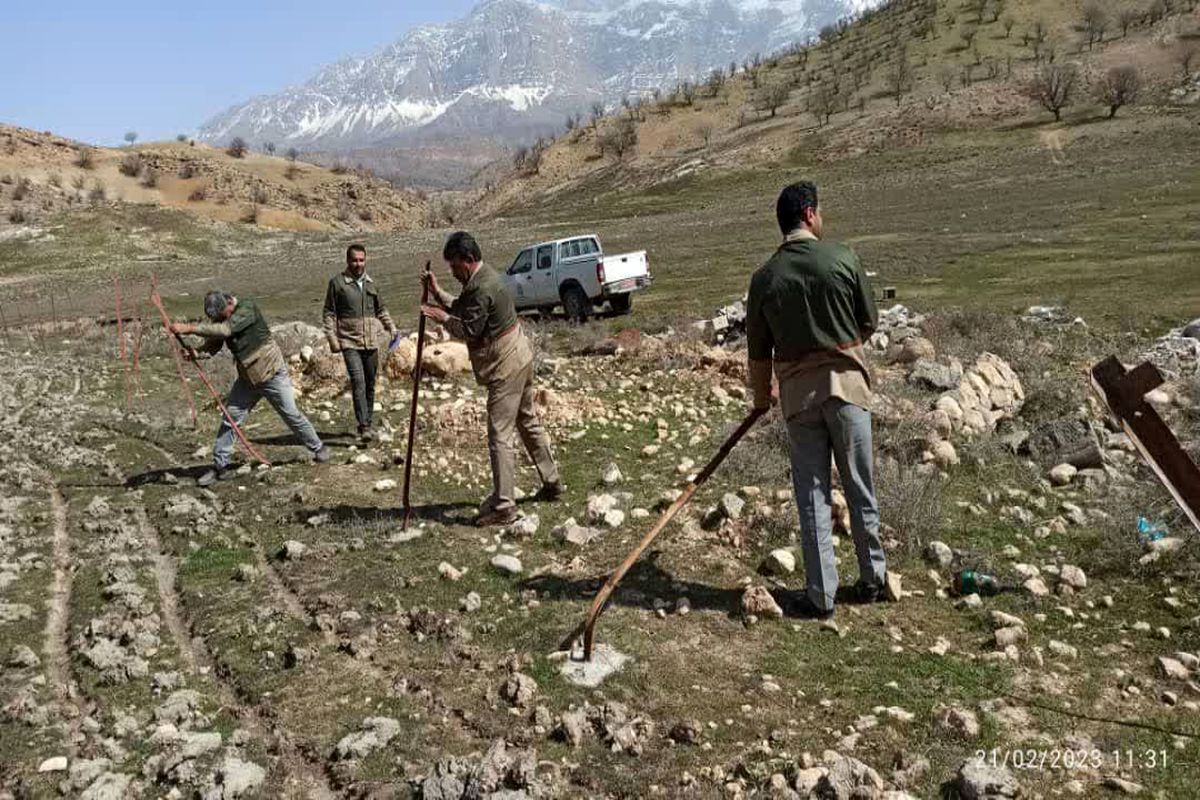 رفع تصرف اراضی ملی به میزان ۹۹۷۳ متر مربع در  پلاک روستای تمنک شهرستان دنا