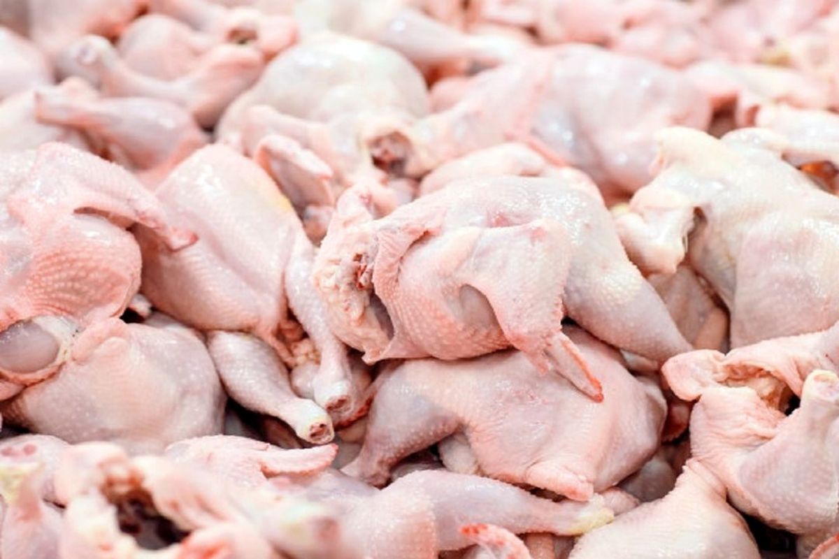 کاهش قیمت گوشت مرغ در بازار کهگیلویه و بویراحمد