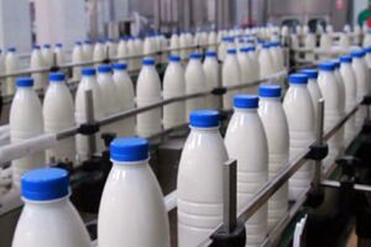 هیچ کمبودی در تولید شیر خام نداریم