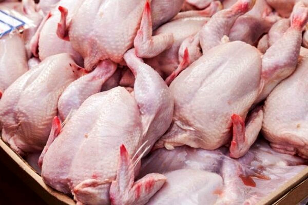 کاهش قیمت مرغ به ۵۱ هزار تومان و کمتر از نرخ مصوب