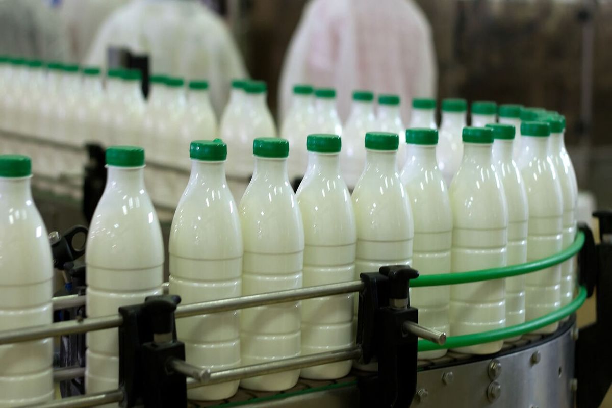 بیش از ۱۱۳ هزار تن شیر در کهگیلویه وبویراحمد تولید شد