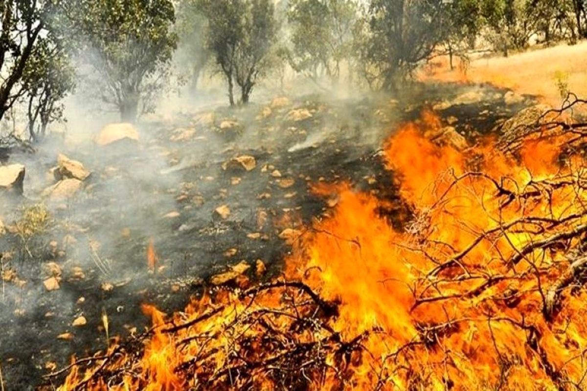 برخورد قضایی با اهمال کاران در پیشگیری از وقوع آتش سوزی در جنگل و مرتع