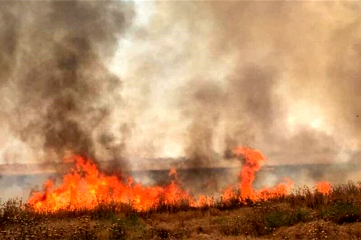 آتش‌سوزی منابع طبیعی ارتفاعات شمال تهران/ حضور آتش نشانی برای اطفا حریق