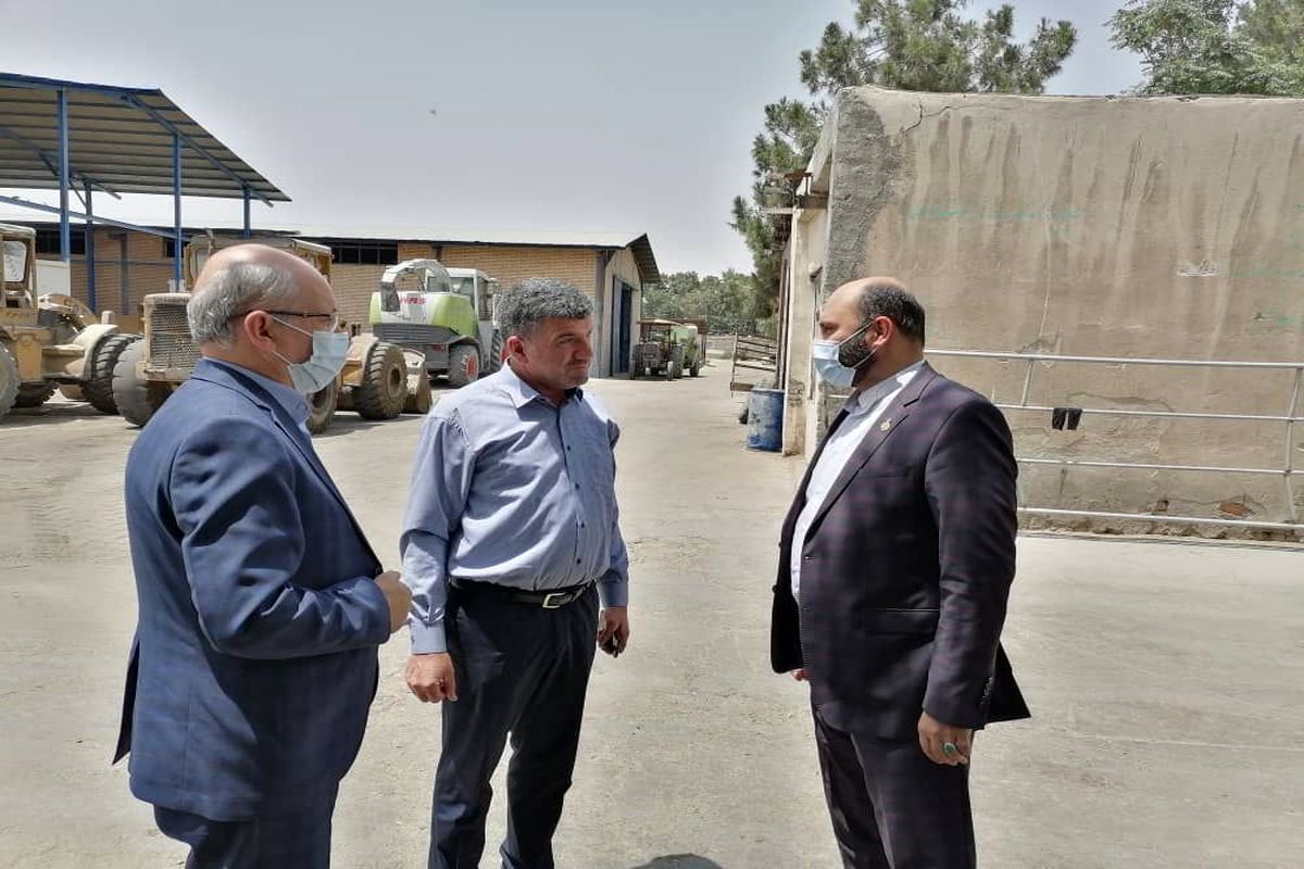 شهردار باقرشهر: حمایت از تولید وظیفه همه مسئولین است