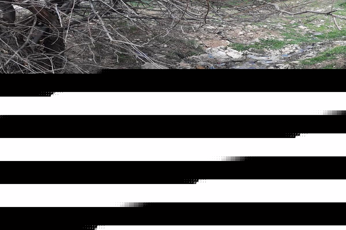 وجود کانال های سنتی وخاکی در سرابله موجب هدر رفت
 آب کشاورزی می شود