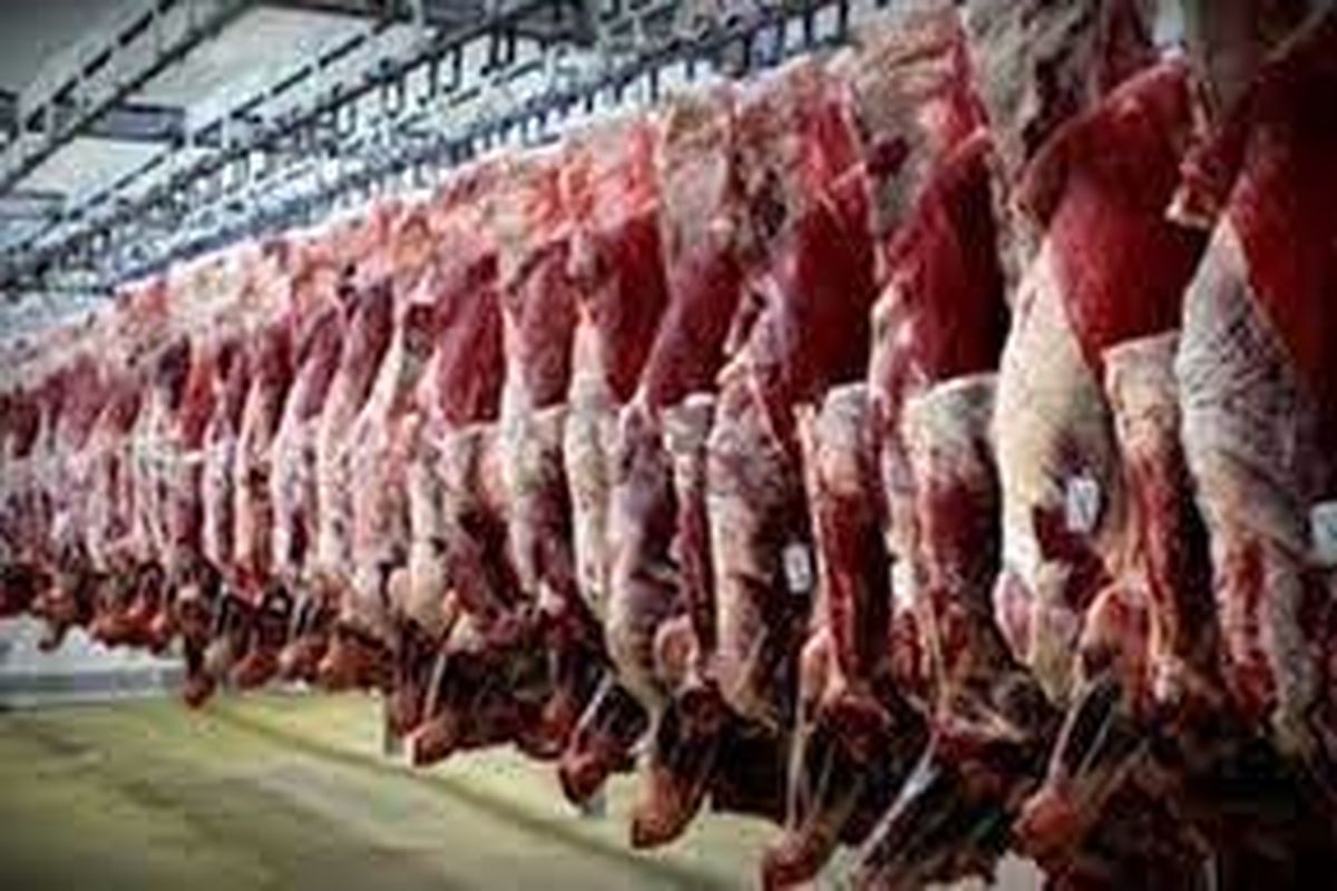 اجرای طرح تولید قراردادی گوشت در ایلام
