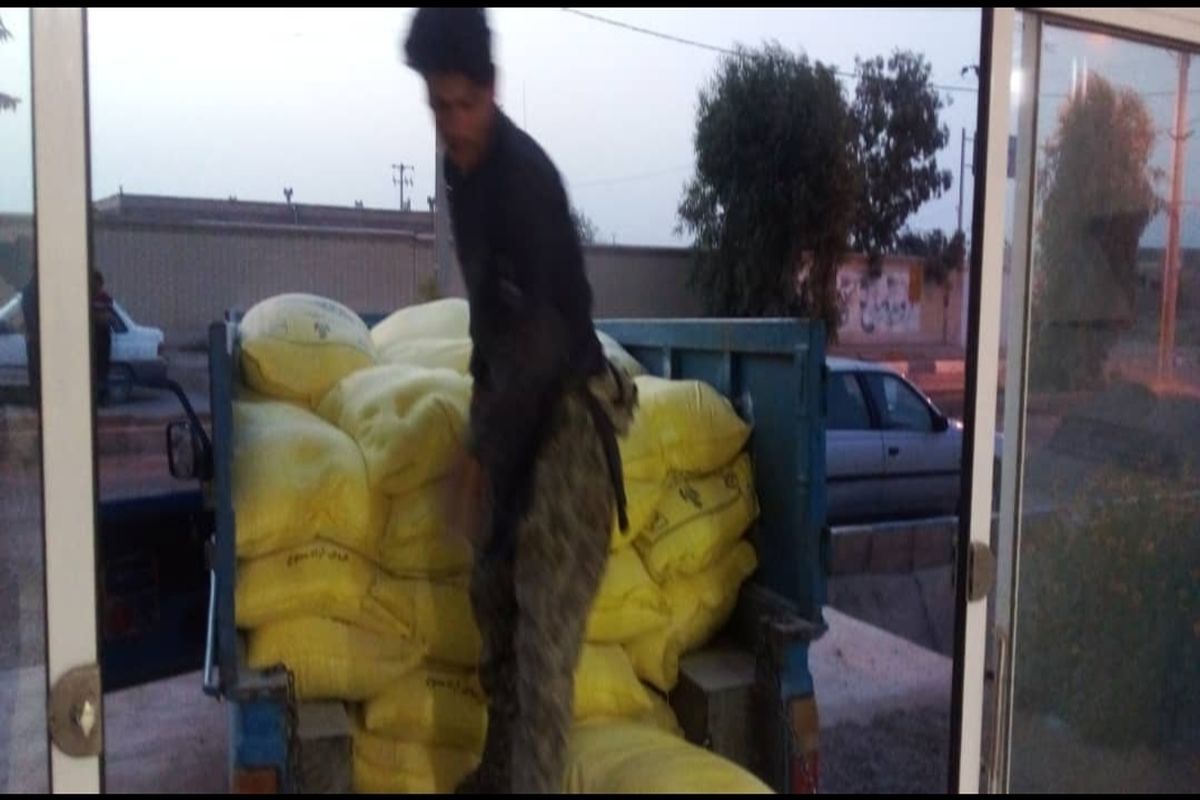 ۴۰ کیسه آرد قاچاق در اردستان توقیف شد