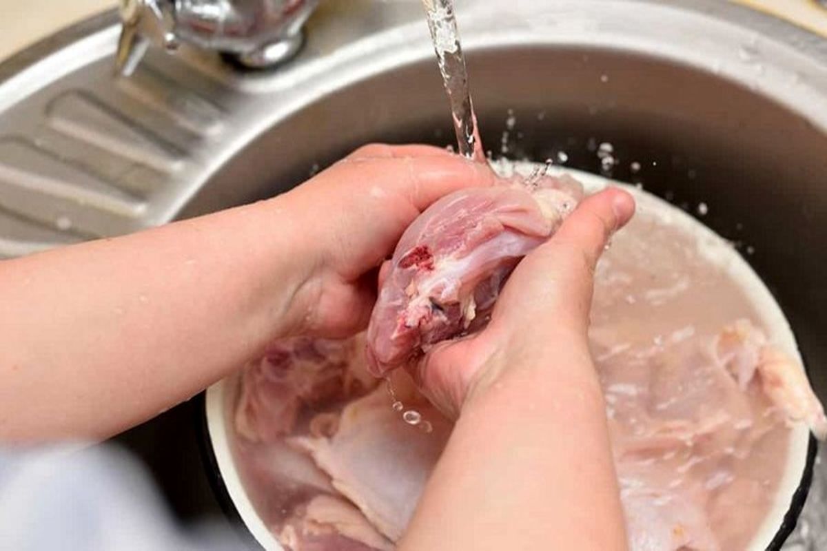 چرا شستن گوشت مرغ خطرناک است؟