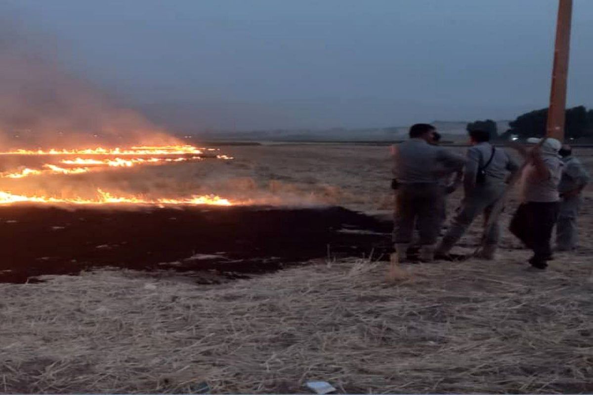 دستگیری متخلفین  آتش زدن کاه کلش مزارع کشاورزی در خرم آباد
