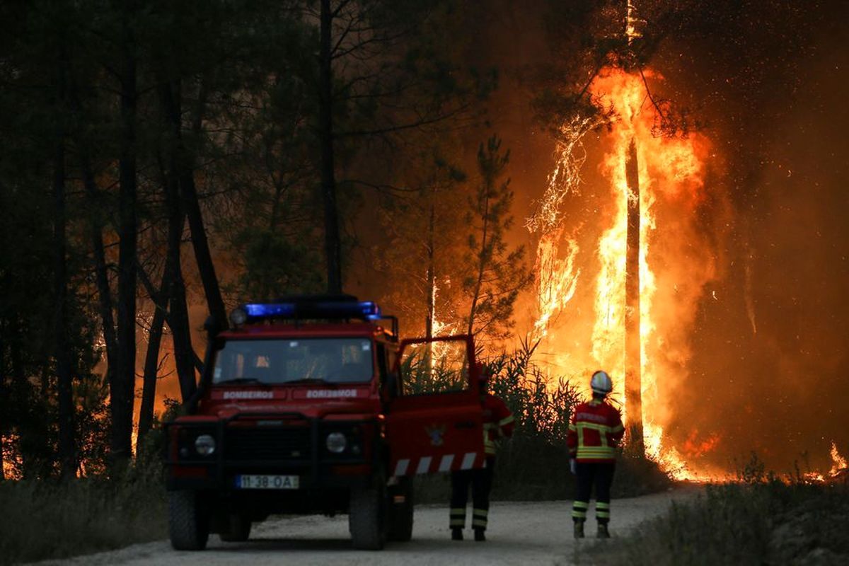 افزایش بی‌سابقه دمای هوا در اروپا/ جنگل‌ها در آتش سوختند