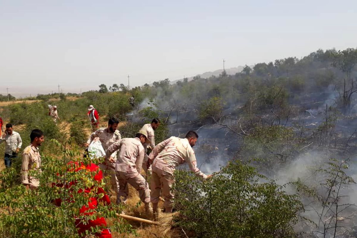 ۱۴ هکتار از منطقه حفاظت شده خائیز کهگیلویه در آتش سوخت