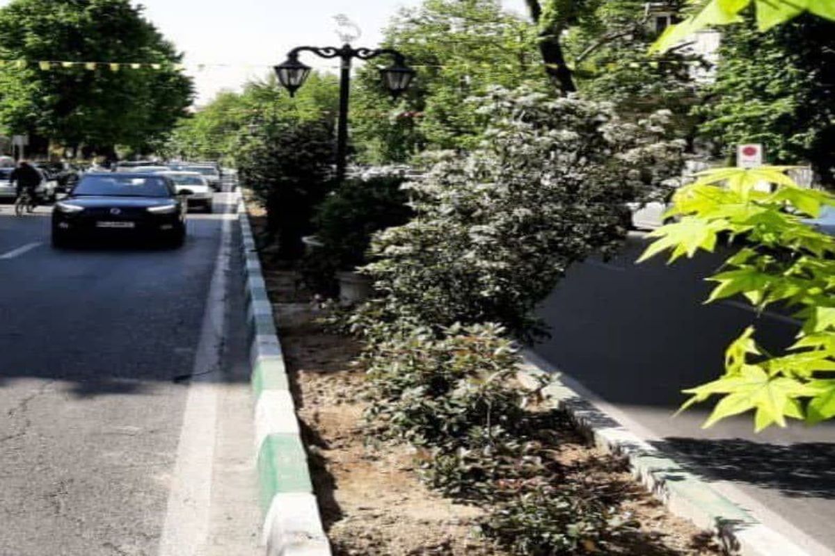 طرح رفیوژ سبز در خیابان شهید باهنر نیاوران آغاز می شود