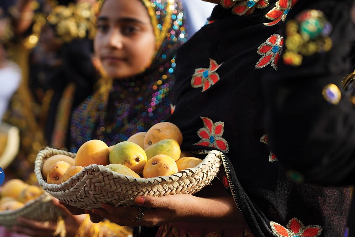 شهردار میناب: یکهزار نهال انبه و گل یاسمین در این شهر کاشته می‌شود