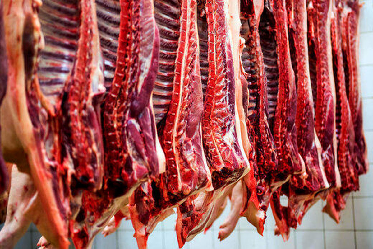 عرضه بیش از ۵۲ هزار تن گوشت قرمز در کشتارگاه‌های رسمی