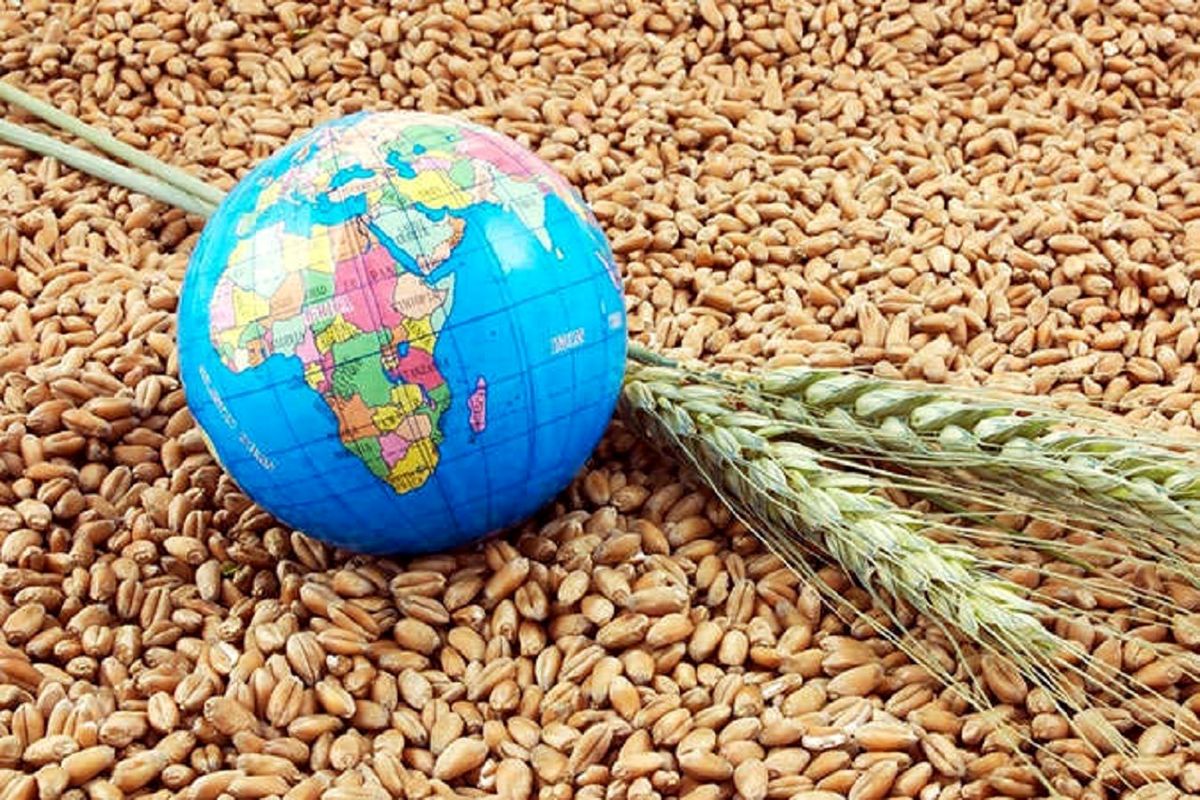 تورم جهانی مواد غذایی؛ کشورها با بحران پرداخت بدهی مواجه می شوند