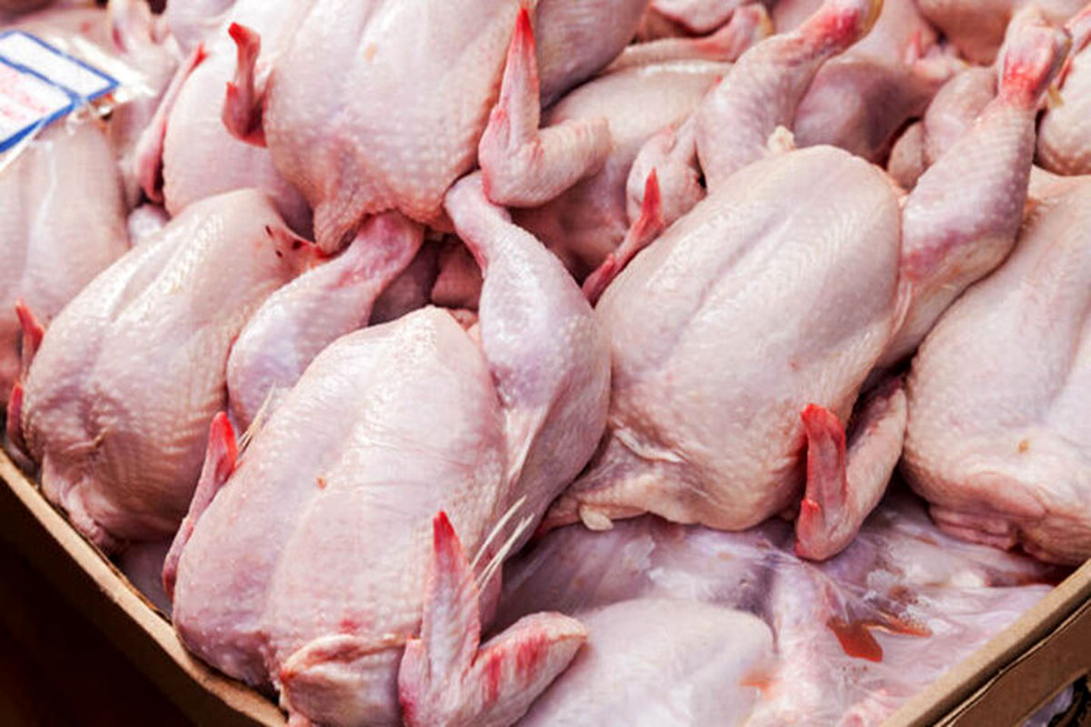 آغاز صادرات مرغ ایلام به کشور عراق