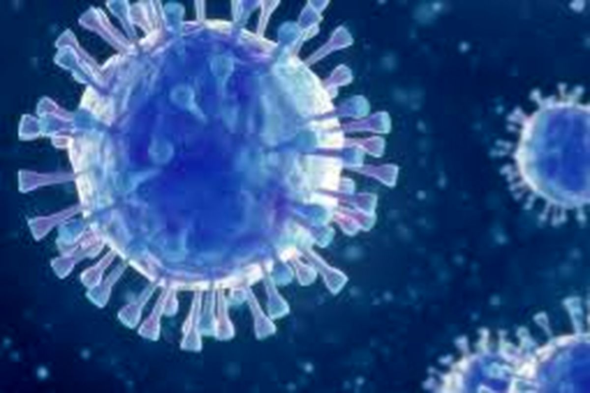 آخرین و جدیدترین آمار کرونایی استان کهگیلویه و بویراحمد تا ۱۷ مرداد ۱۴۰۱