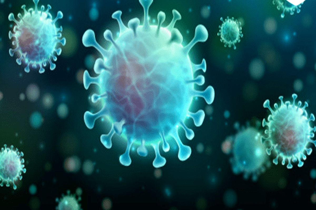 آخرین و جدیدترین آمار کرونایی استان کهگیلویه و بویراحمد تا ۱۹مرداد ۱۴۰۱