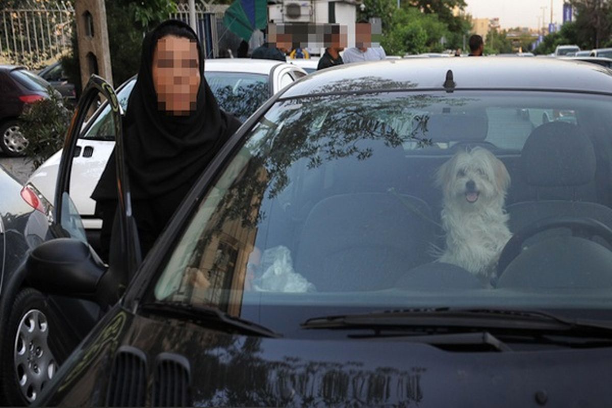 خودروهای «سگ گردان» در استان همدان توقیف می‌شوند