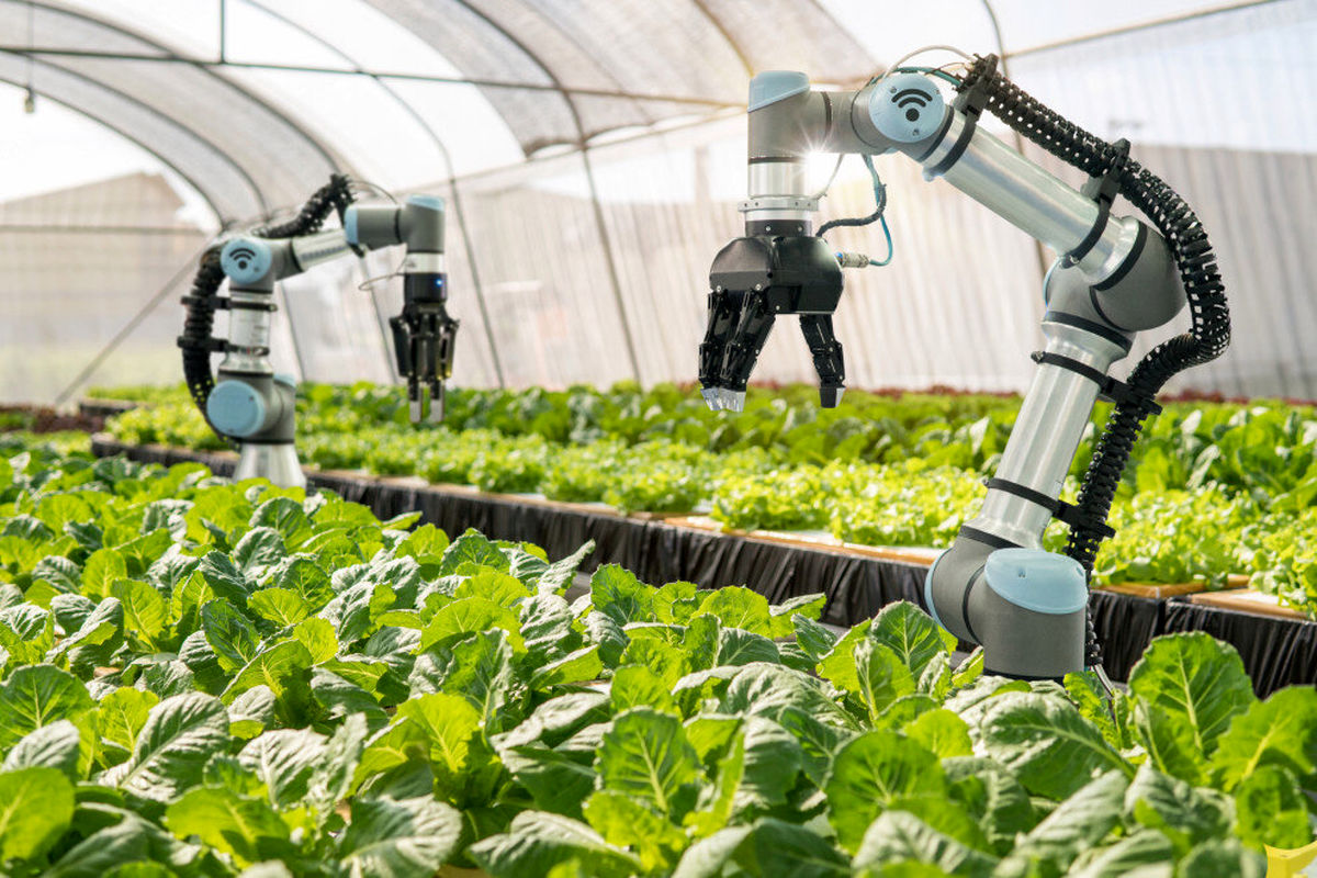ربات‌های کشاورز به مزارع قدم می‌گذارند