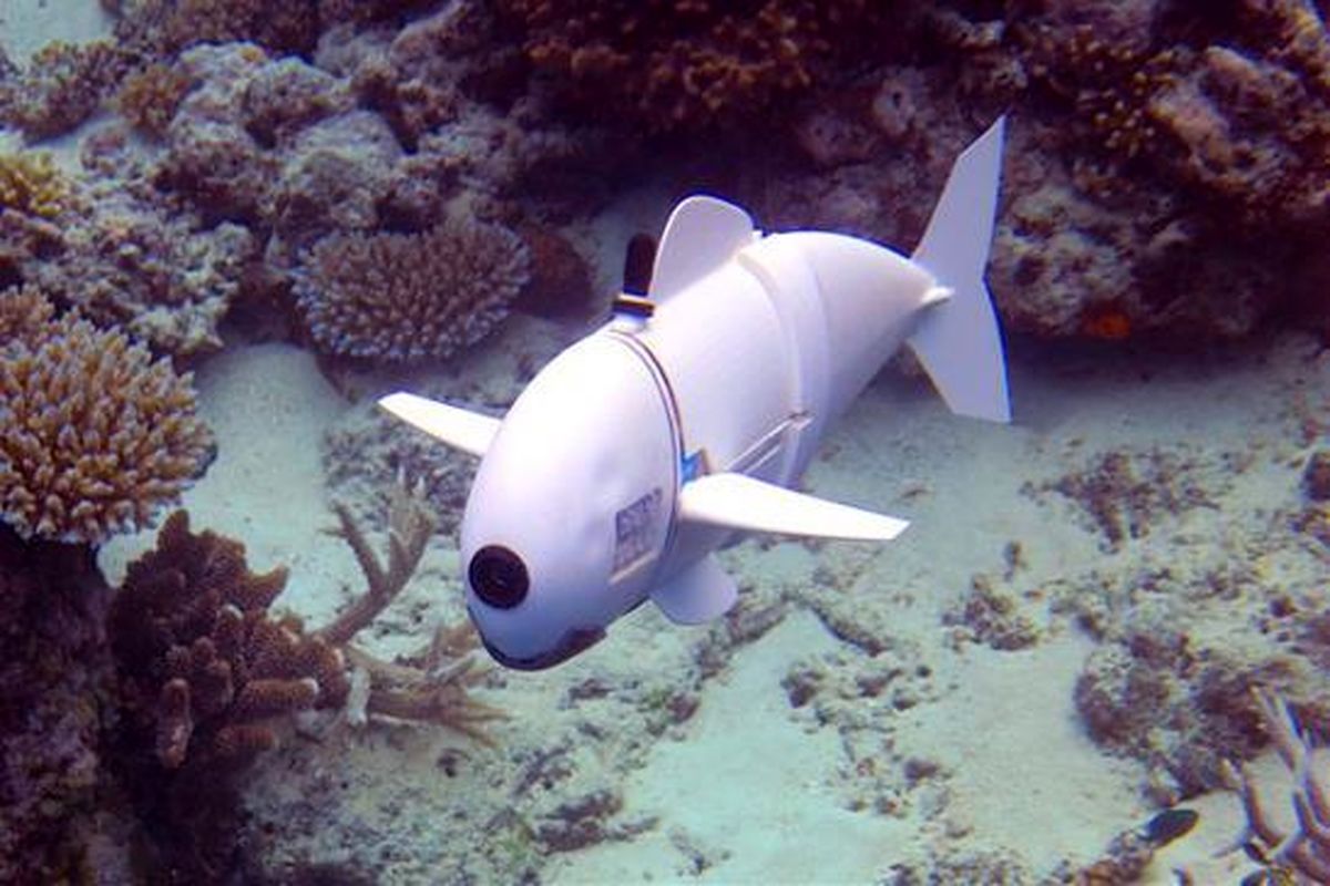 لجن‌خوار‌های رباتیک به جنگ آلودگی اقیانوس‌ها می‌روند