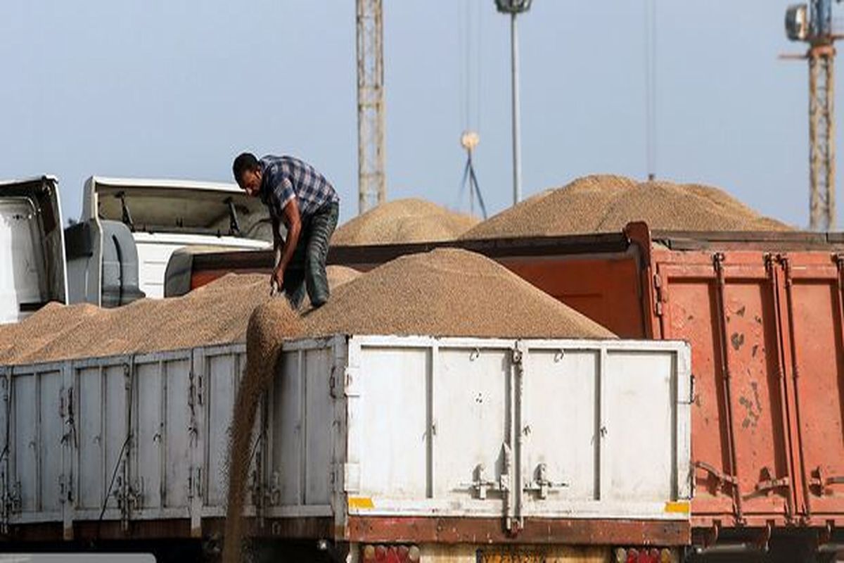 ۲.۷ میلیون تن گندم از بنادر کشور به مقاصد داخلی ارسال شد