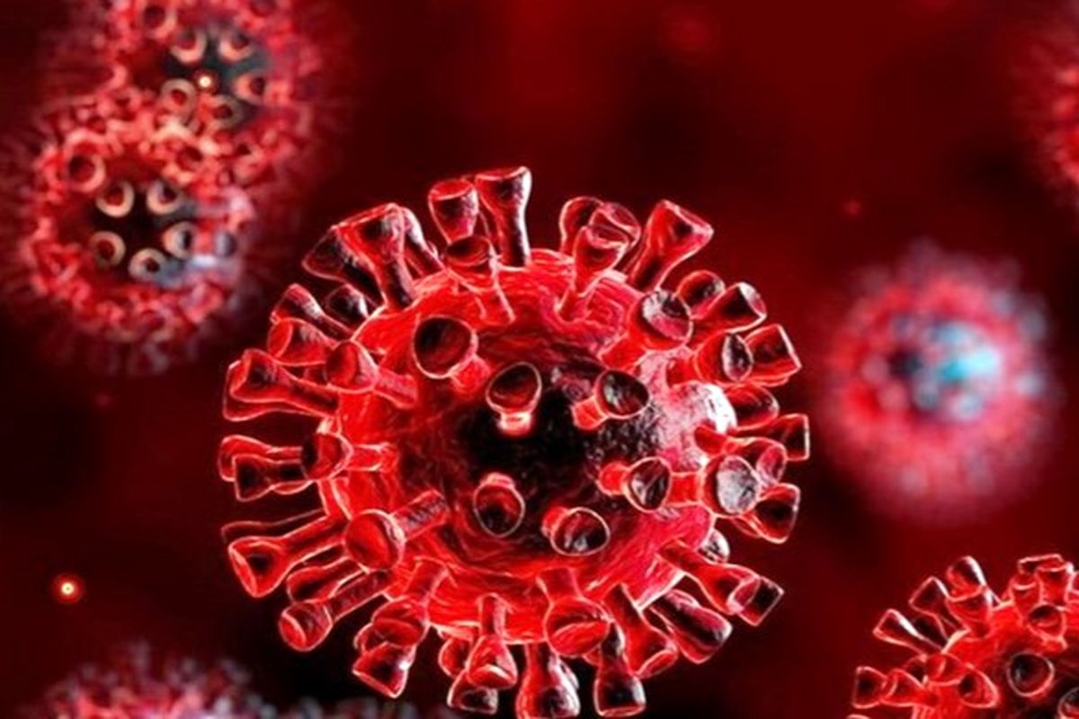آخرین و جدیدترین آمار کرونایی استان کهگیلویه و بویراحمد تا ۷ مرداد ماه ۱۴۰۱
