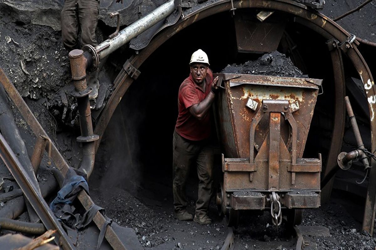 تولید کنسانتره زغال‌سنگ۴۴درصد افزایش یافت