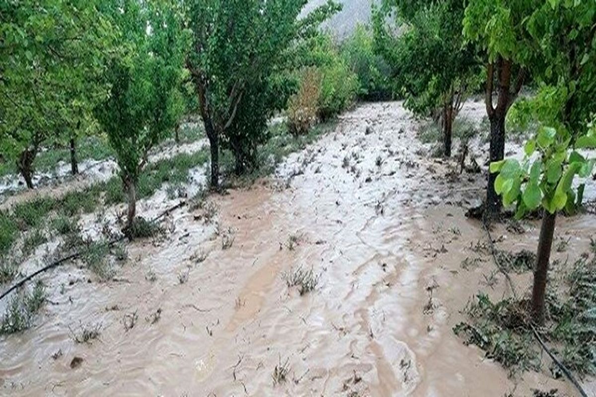 سیلابها به بخش کشاورزی استان قزوین بیشترین خسارت را زده است