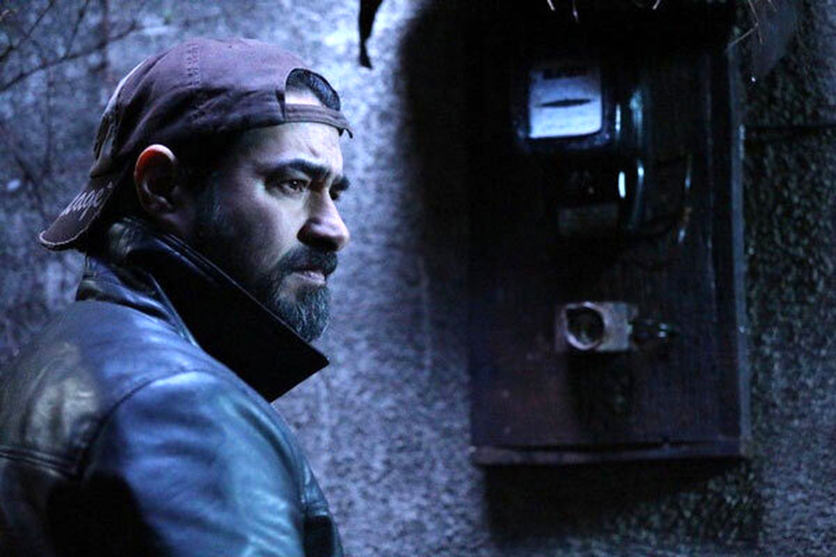 «شین» شهاب حسینی و سه فیلم دیگر روی پرده سینما