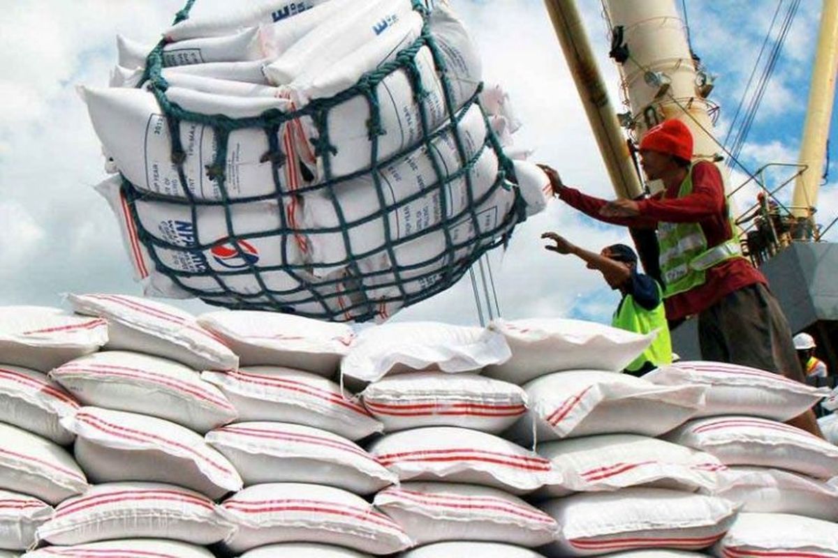 دبیر انجمن تولیدکنندگان برنج: واردات در فصل برداشت برنج به معنی کاهش قیمت نیست