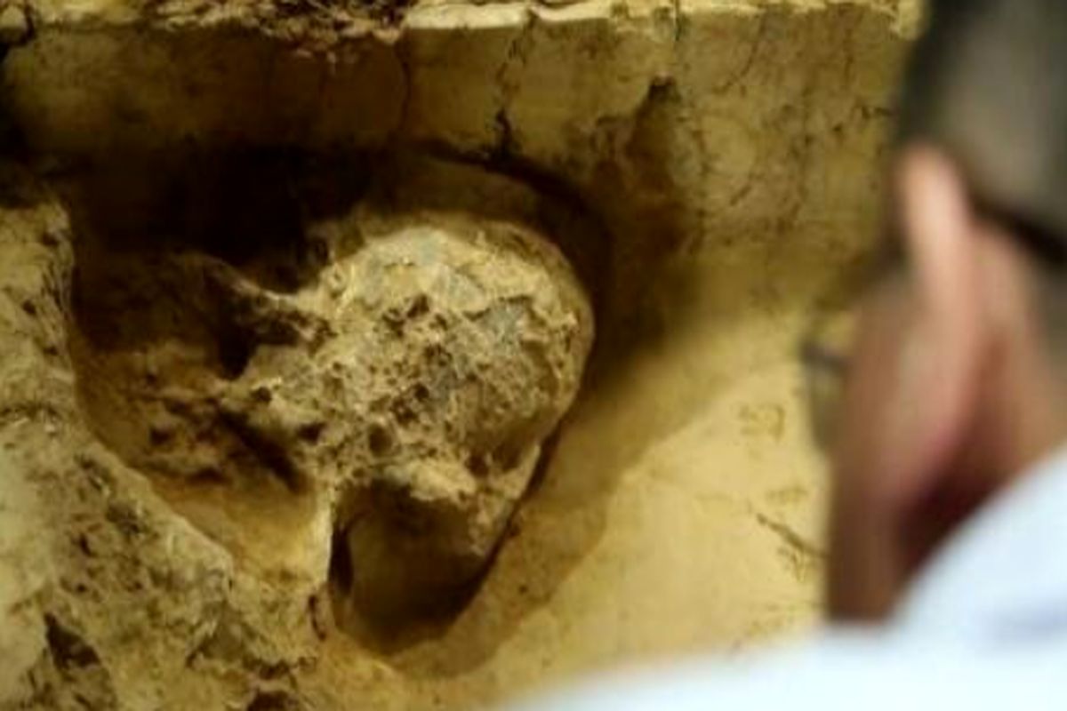 کشف جمجمه یک انسان با قدمت یک میلیون سال! +عکس