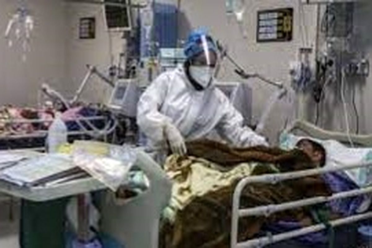 آخرین و جدیدترین آمار کرونایی استان کهگیلویه و بویراحمد تا ۲۳ مهر ۱۴۰۱