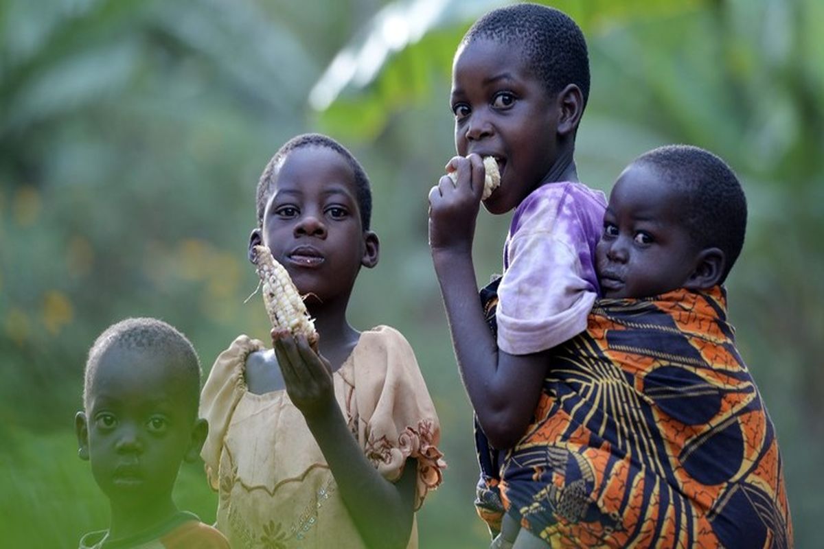 صندوق بین المللی پول: تورم منجر به ناامنی غذایی می شود