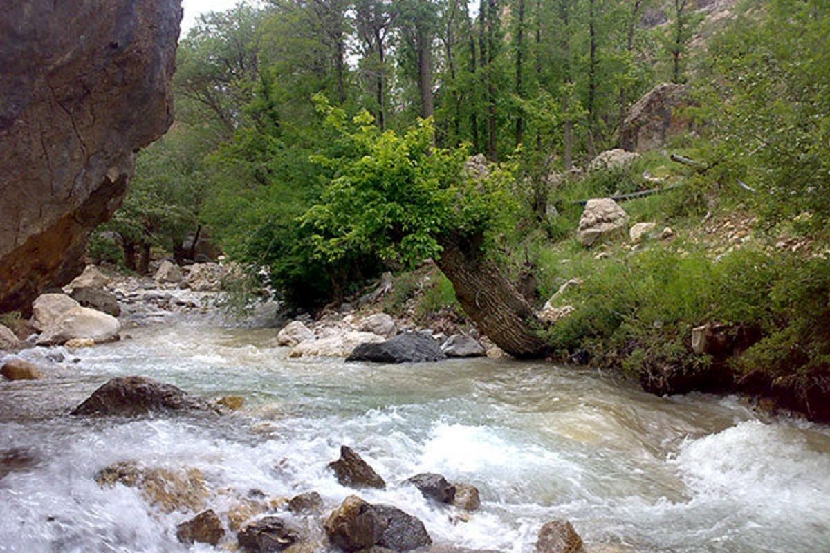صدور سند مالکیت برای بیش از ۱۵۰۰ هکتار از بستر رودخانه های گلستان