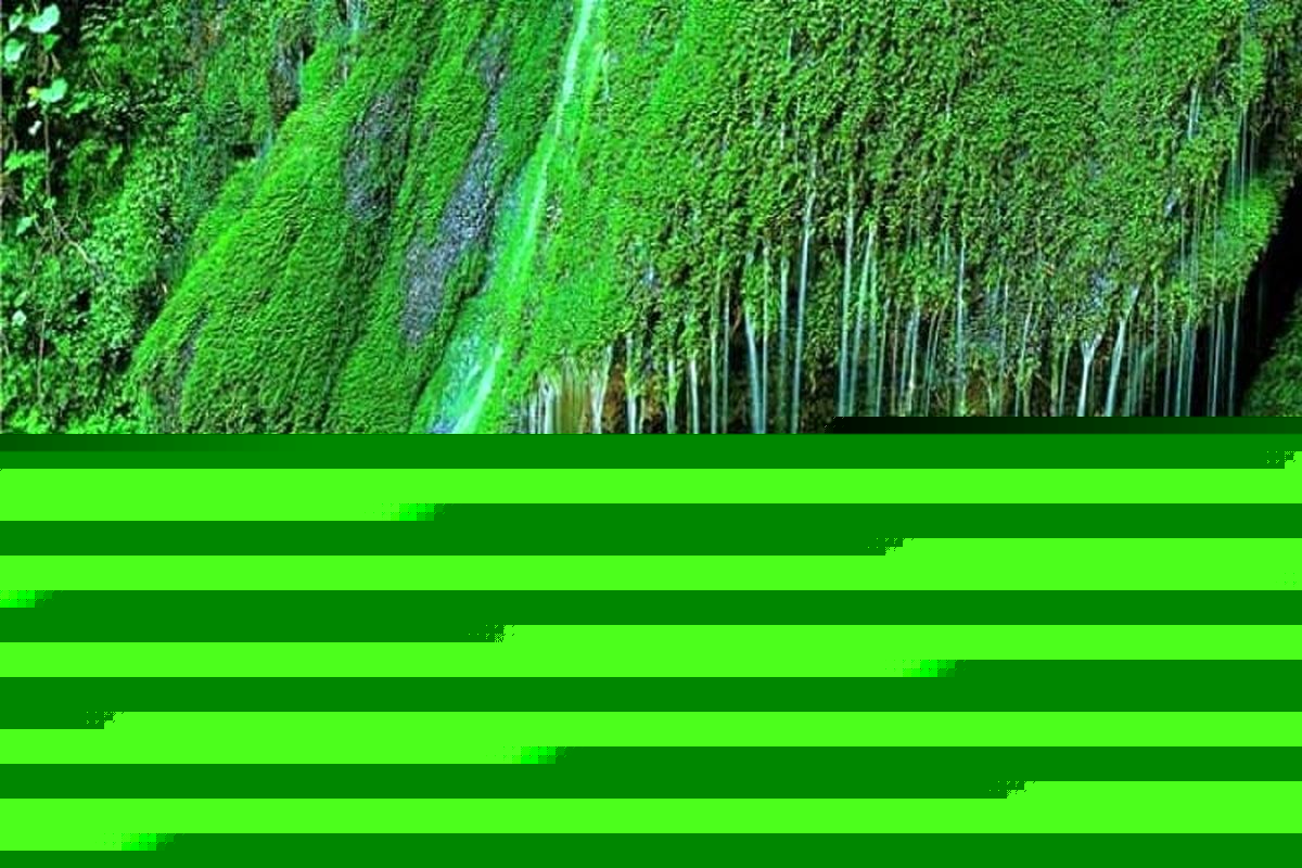 بزرگ ترین آبشار خزه ای ایران کجاست؟