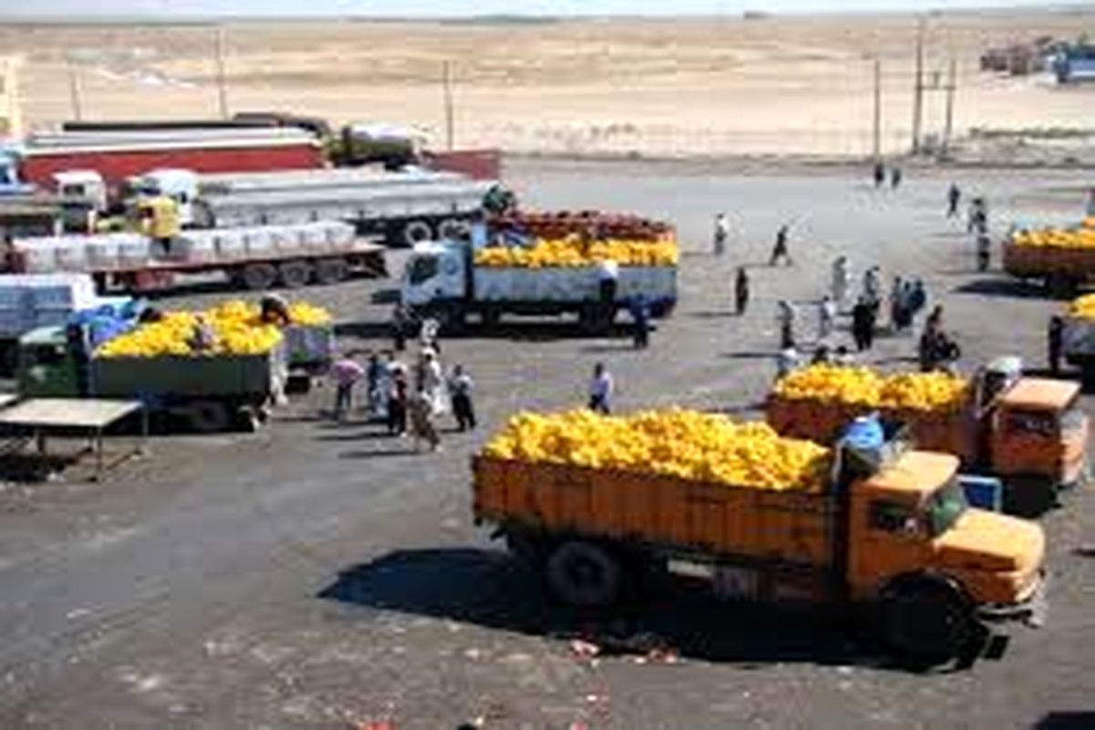 صدور ۱۴۲ هزار تن محصولات کشاورزی از مرز مهران به عراق